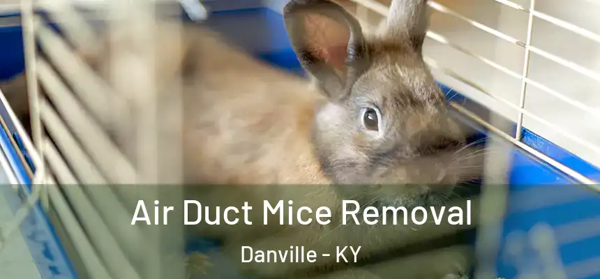  Air Duct Mice Removal Danville - KY