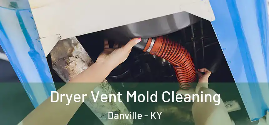  Dryer Vent Mold Cleaning Danville - KY