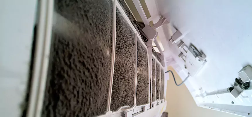 Preventive Air Duct Bacteria Removal in Danville