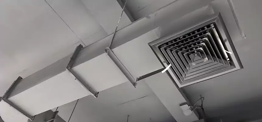 Our Pest Removal From Ducts Services in Danville, KY