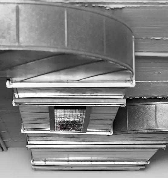 Professional Air Duct Pet Hair Removal in Danville, KY