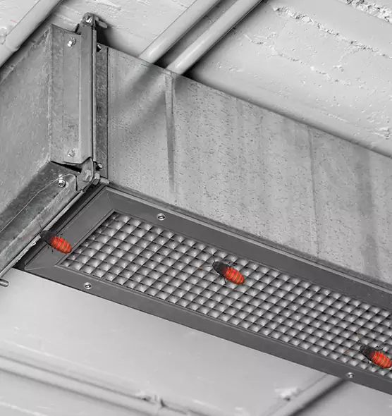 Affordable Insect Removal from Air Ducts in Danville, KY