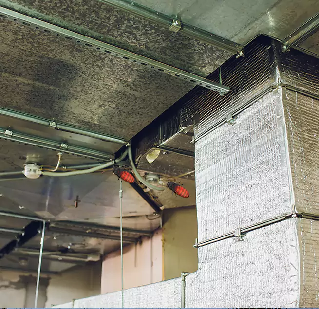 Why Homeowners & Businesses Trust Us in Danville, KY?