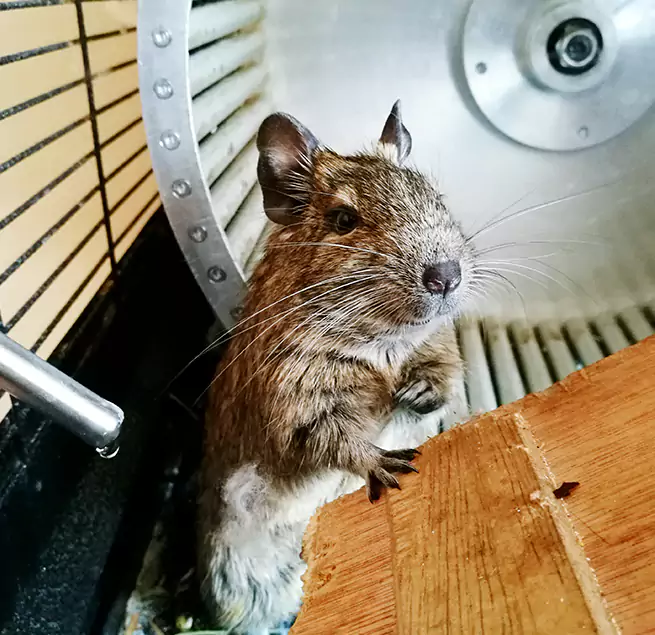 Why Homeowners & Businesses Trust Us Danville, KY