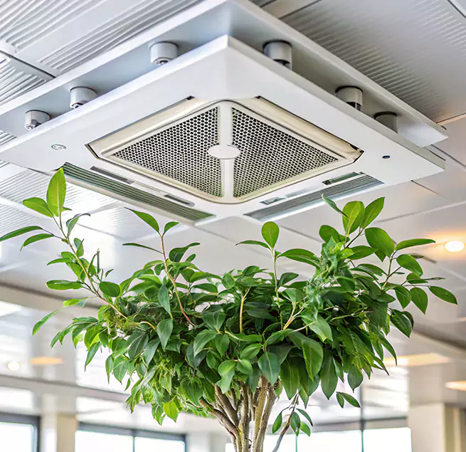 Why Homeowners & Businesses Trust Us in Danville, KY?