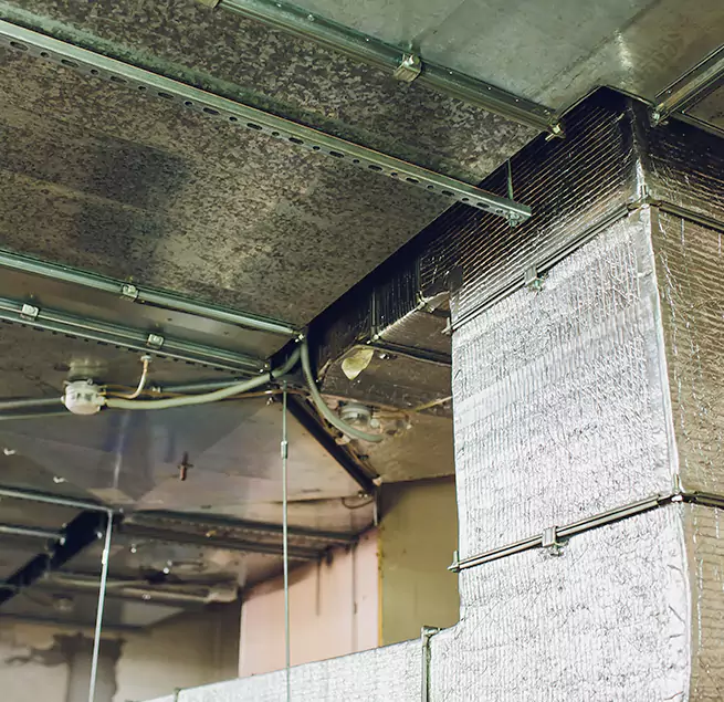 Why Homeowners & Businesses Trust Us in Danville, KY?